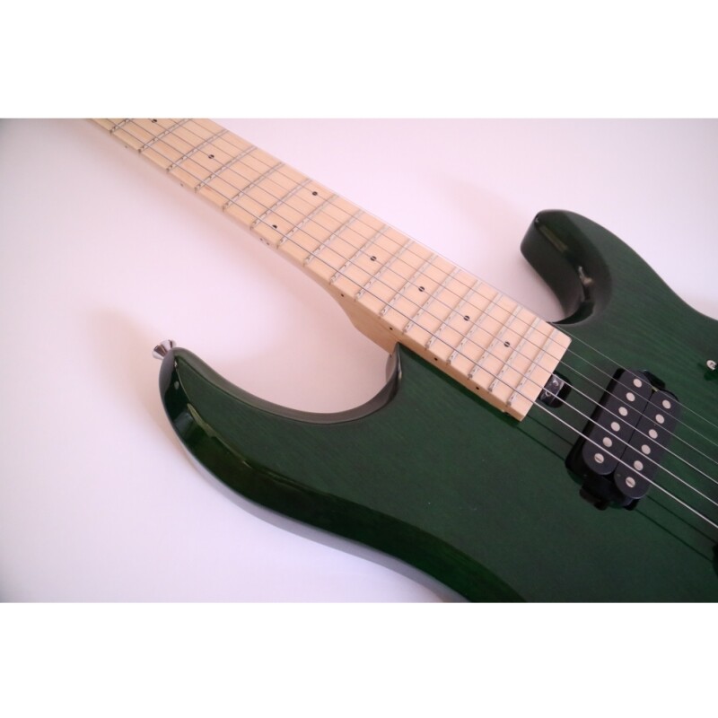 Afanti Customized 6 String Double Locking Tremolo Green Color Electric Guitar