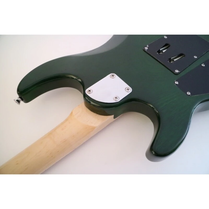 Afanti Customized 6 String Double Locking Tremolo Green Color Electric Guitar