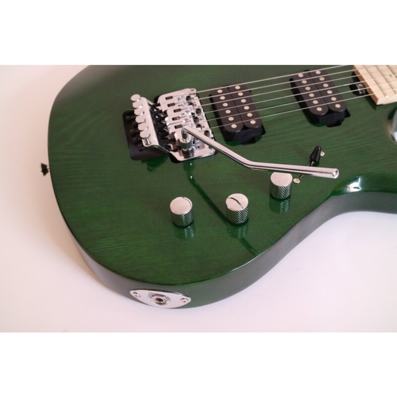 Afanti Customized 6 String Double Locking Tremolo Green Color Electric Guitar