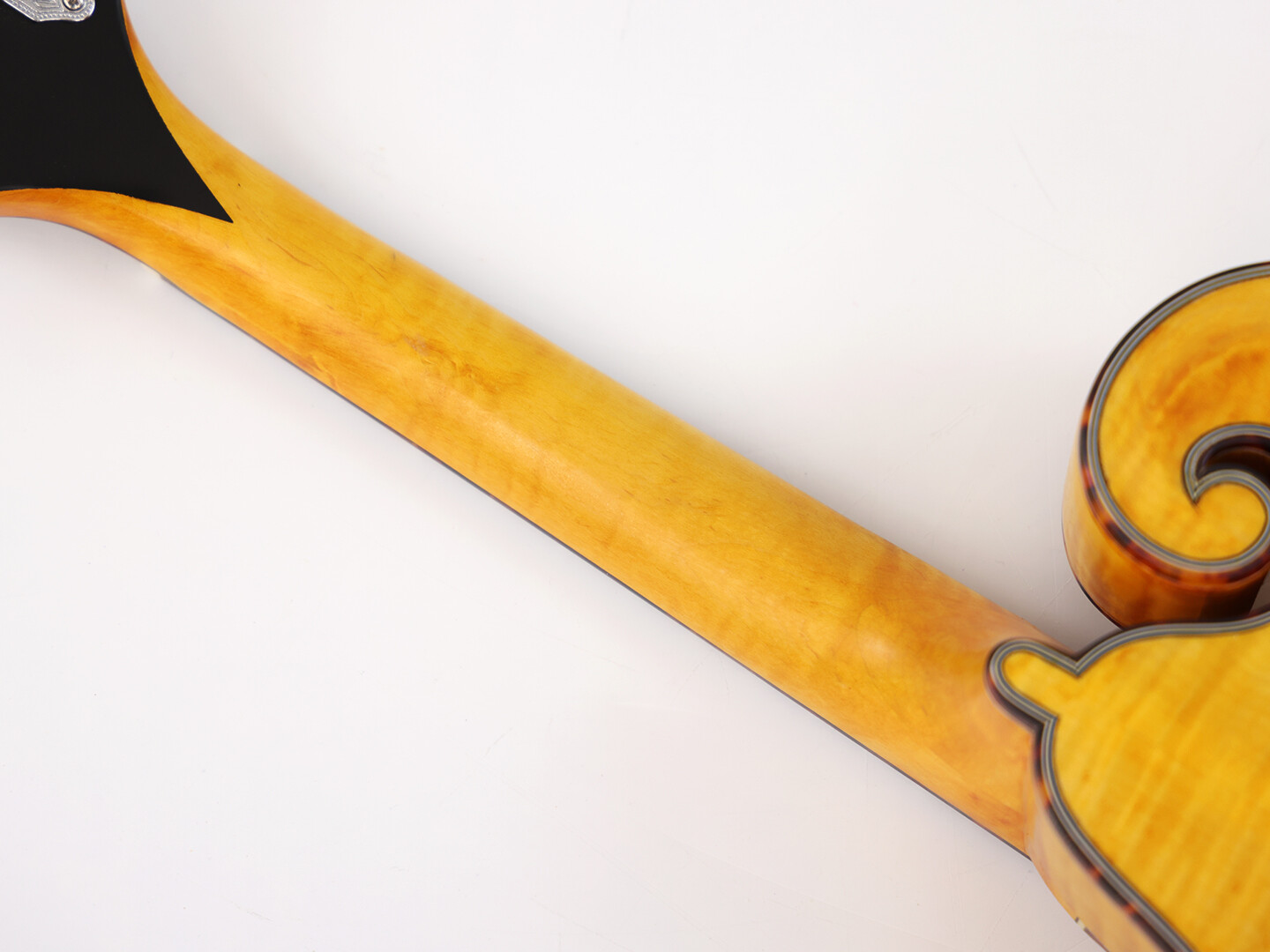 Afanti Goldrush Color Solid Spruce Top Ebony Bridge F Mandola