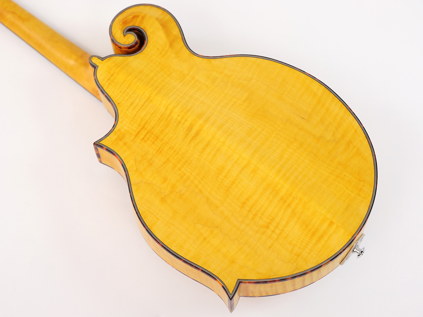 Afanti Goldrush Color Solid Spruce Top Ebony Bridge F Mandola