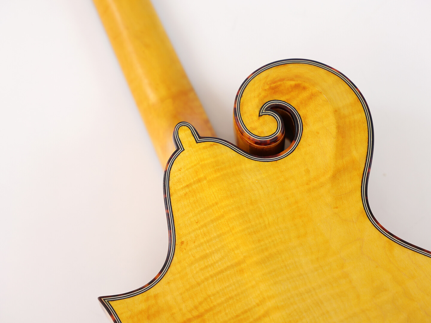 Afanti Goldrush Color Solid Spruce Top Ebony Bridge F Mandola