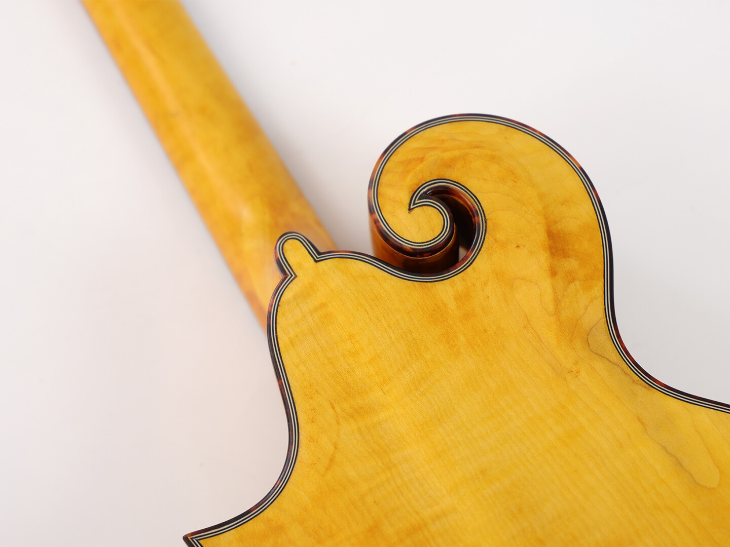 Afanti Solid Spruce Top Rosewood Fingerboard  F Mandola