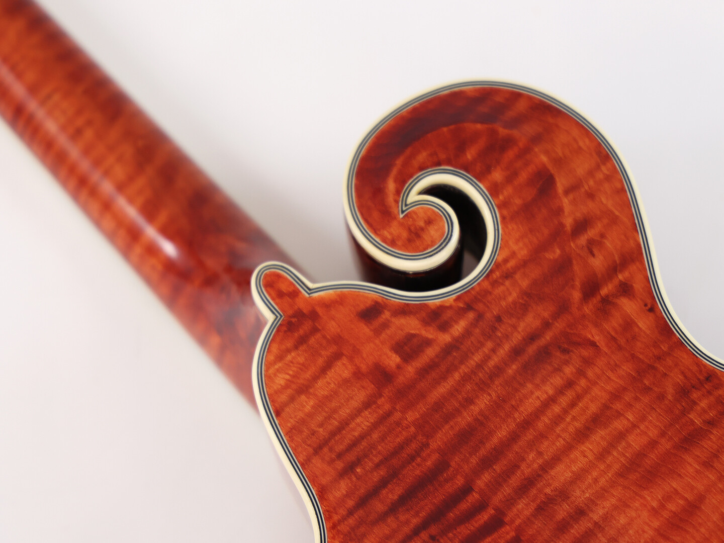 Afanti  East Luthier Series AAA Solid Spruce Top F Style Mandola