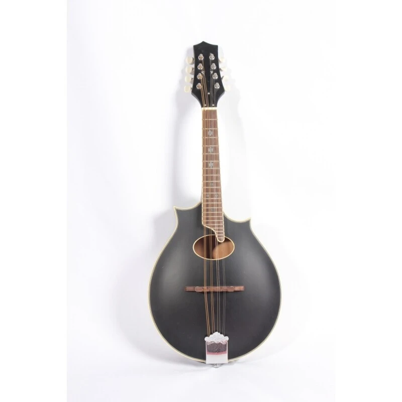 Afanti Maple Back and Side Pau Ferro Fingerboard Oval Hole F Mandolin