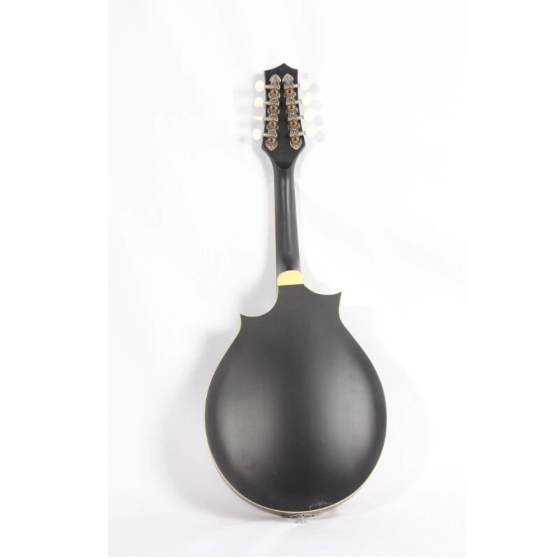Afanti Maple Back and Side Pau Ferro Fingerboard Oval Hole F Mandolin
