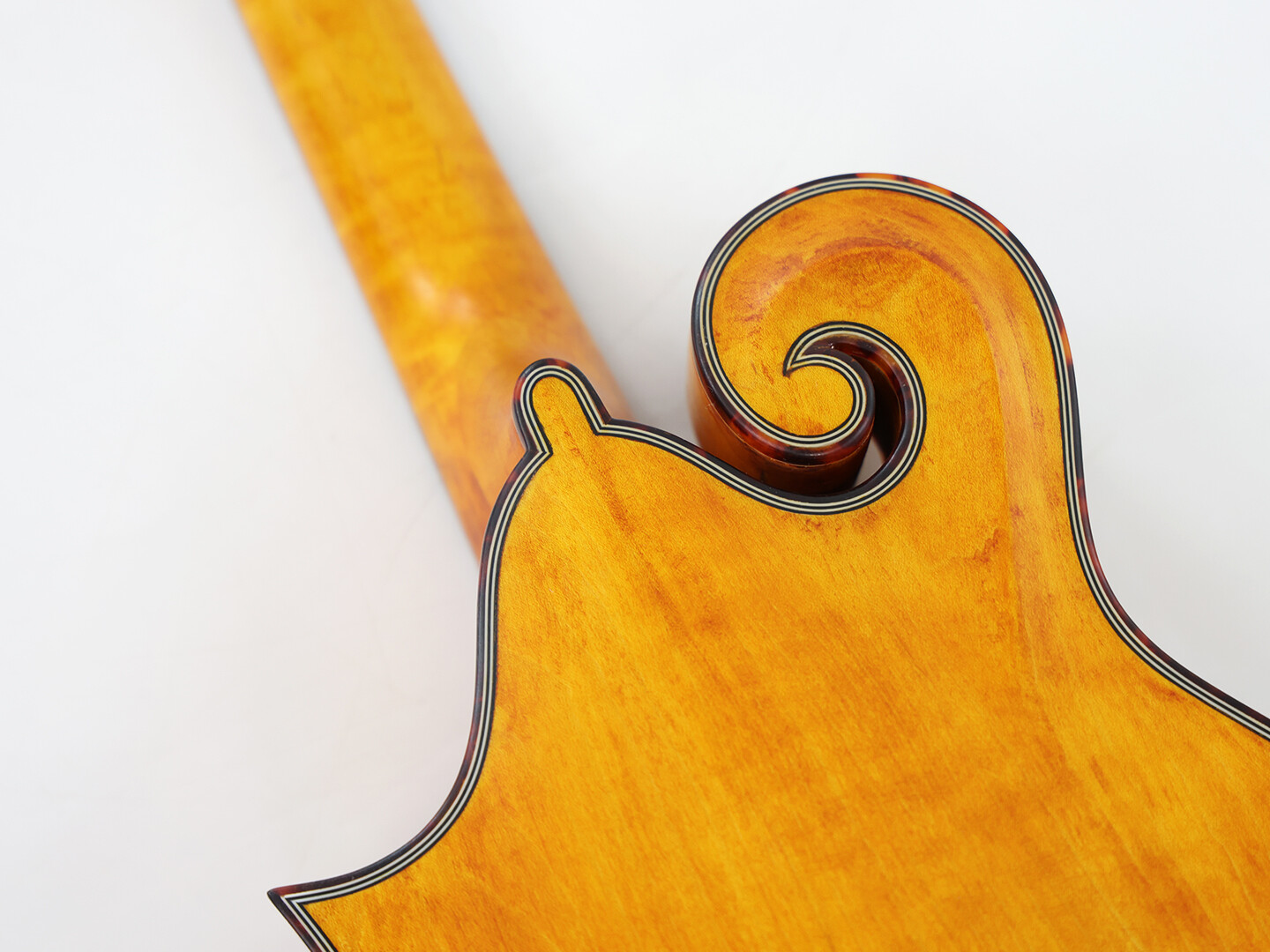 Afanti Goldrush One Piece Solid Flamed Maple Dovetail Neck F Mandolin