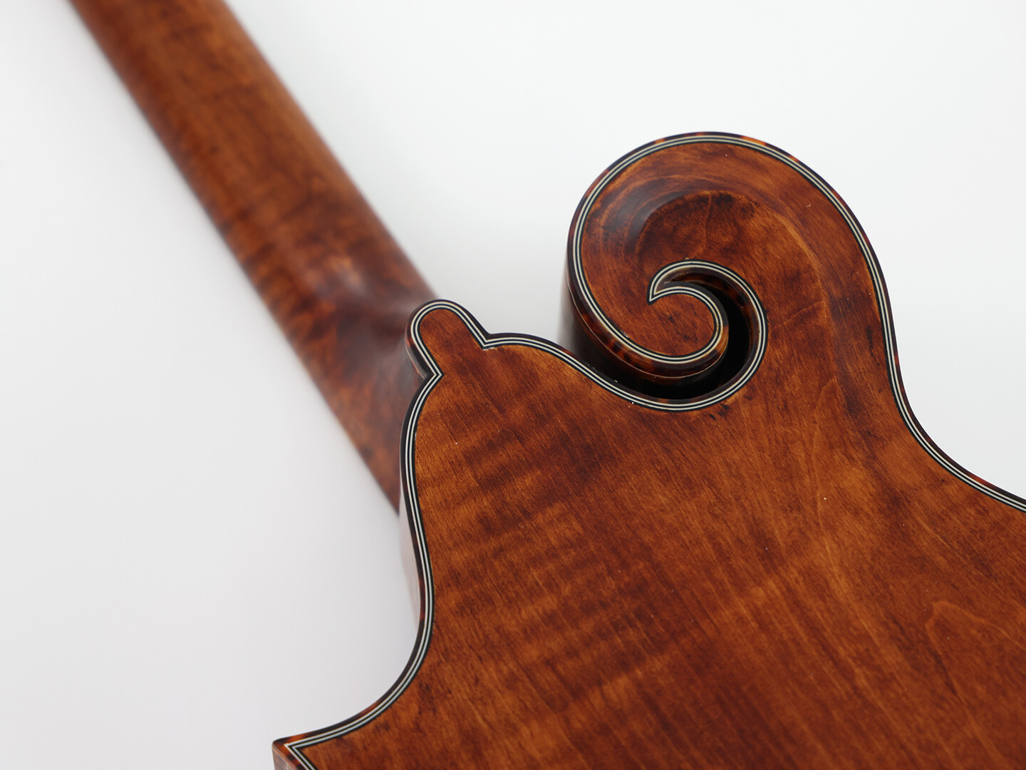 All solid Brown Octave Mandolin with flamed maple back and side