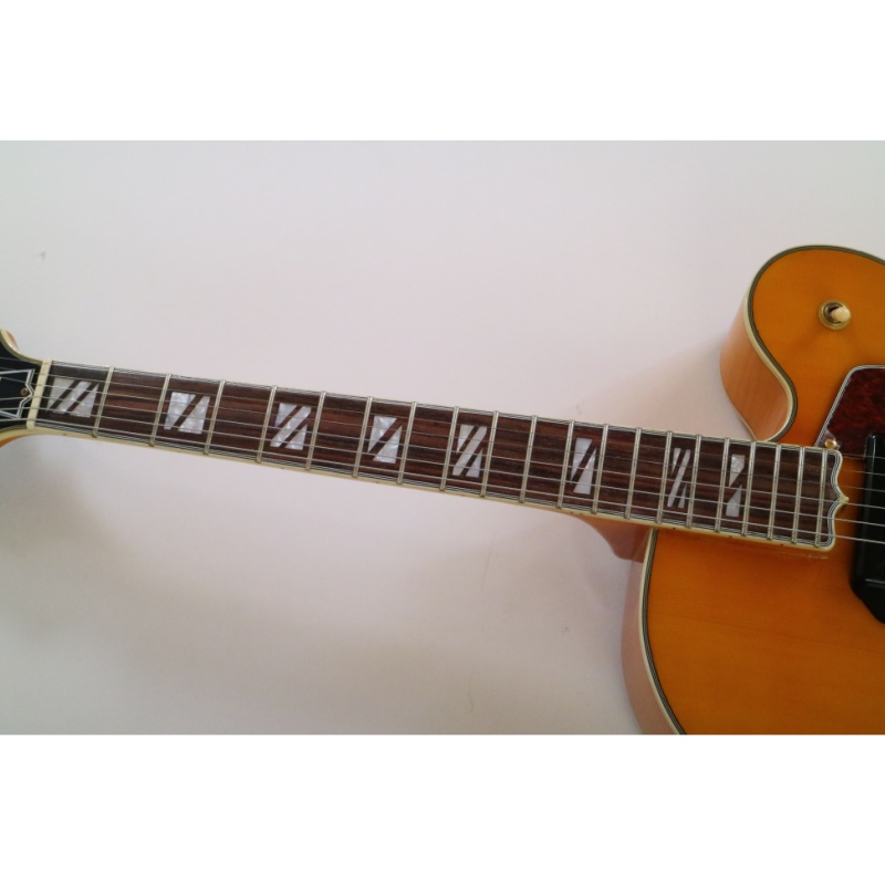 Afanti Hollow Maple Plywood Body Electric Guitar with Flamed Maple Veneer