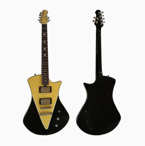 Afanti Customized 6 String Hh Pickup Tom Bridge Music Electric Guitar