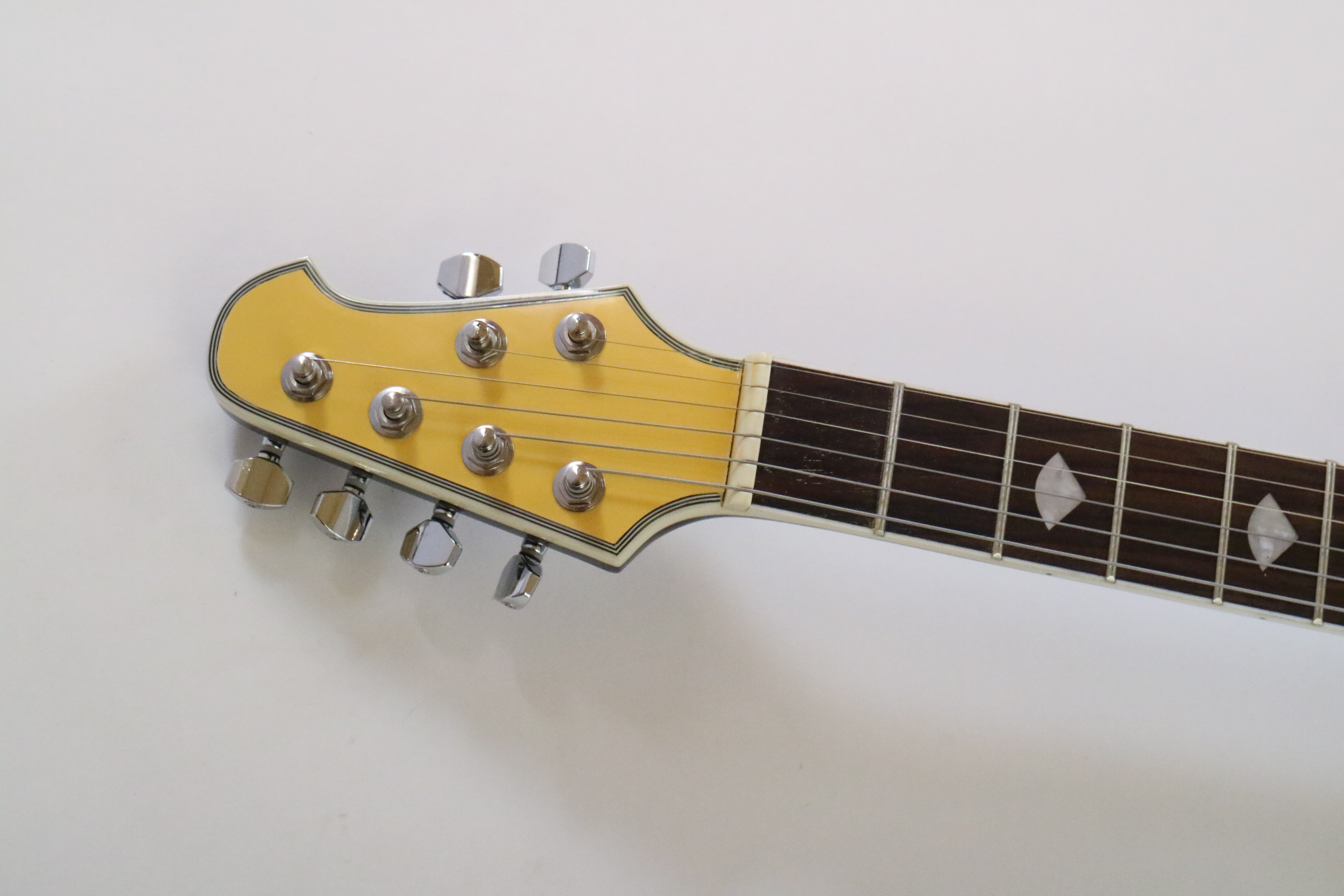 Afanti Customized 6 String Hh Pickup Tom Bridge Music Electric Guitar