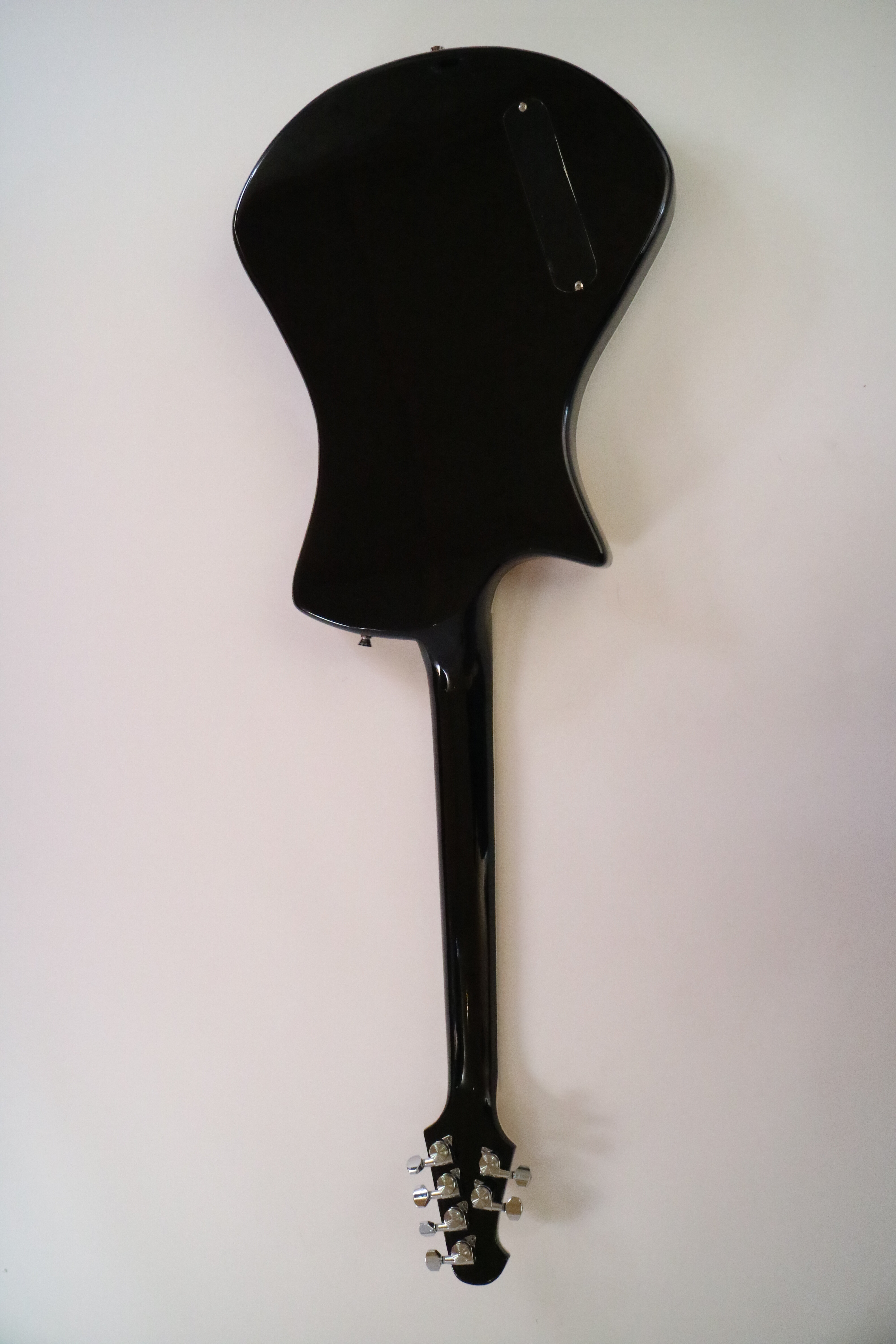 Afanti Customized 6 String Hh Pickup Tom Bridge Music Electric Guitar