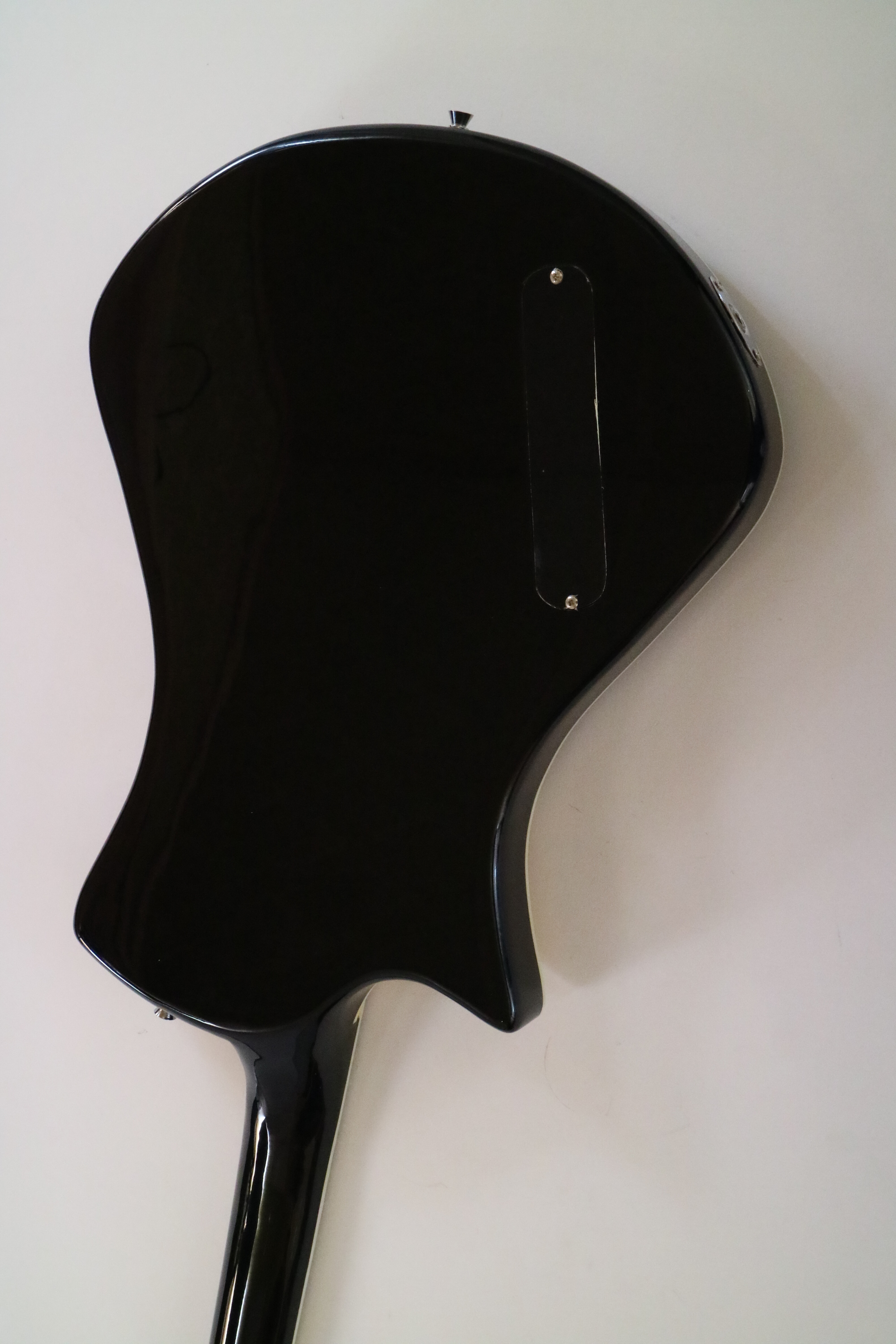 Afanti Customized 6 String Hh Pickup Tom Bridge Music Electric Guitar