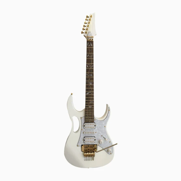Afanti Basswood Body Flower Fingerboard Inlay Custom Electric Guitar