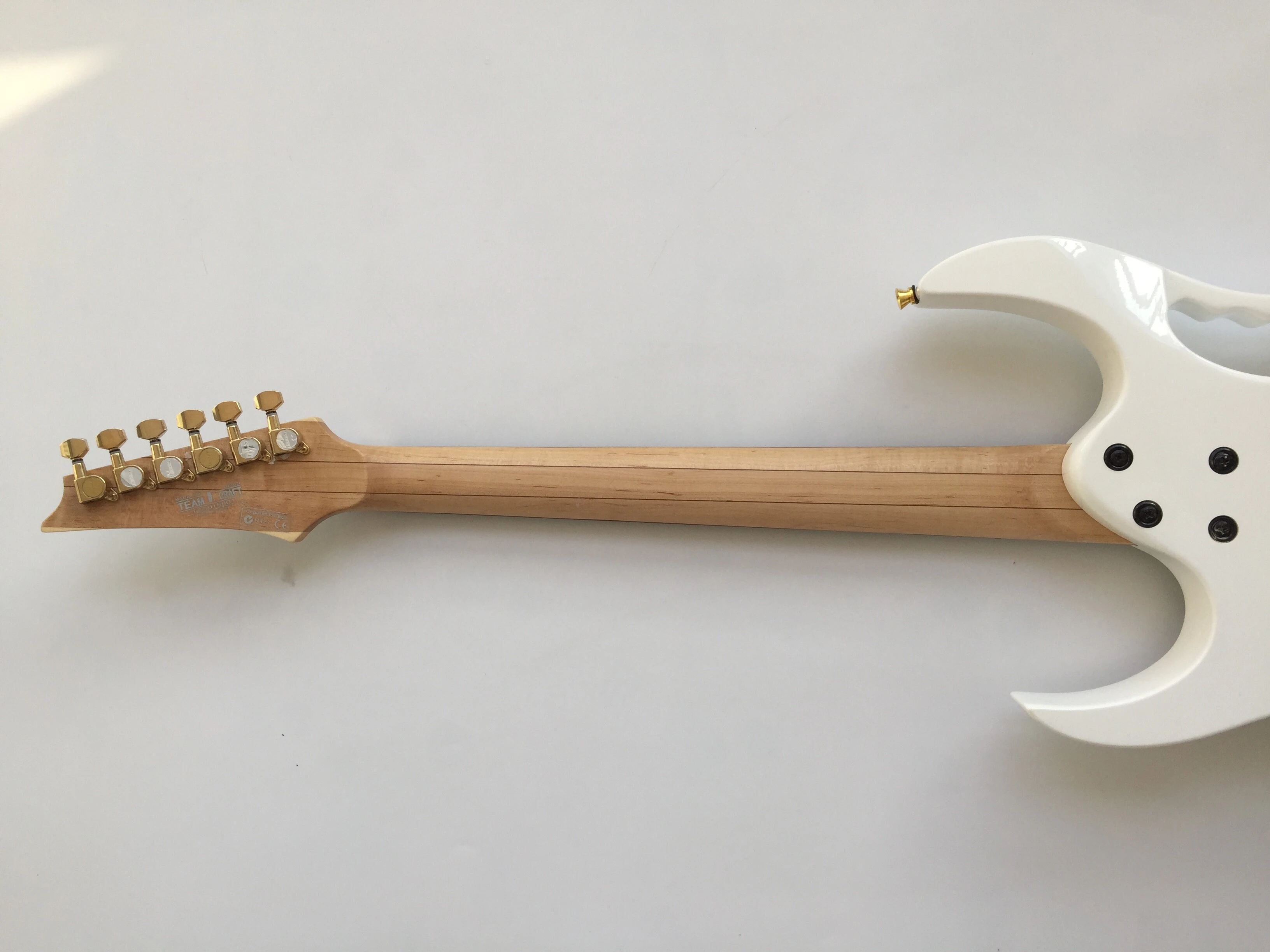 Afanti Basswood Body Flower Fingerboard Inlay Custom Electric Guitar