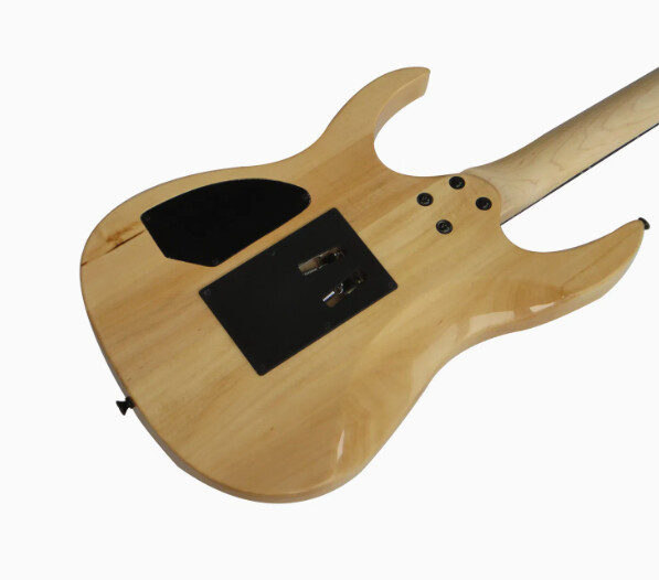 Afanti Customized Hsh Pickup Double Locking Tremolo Electric Guitar