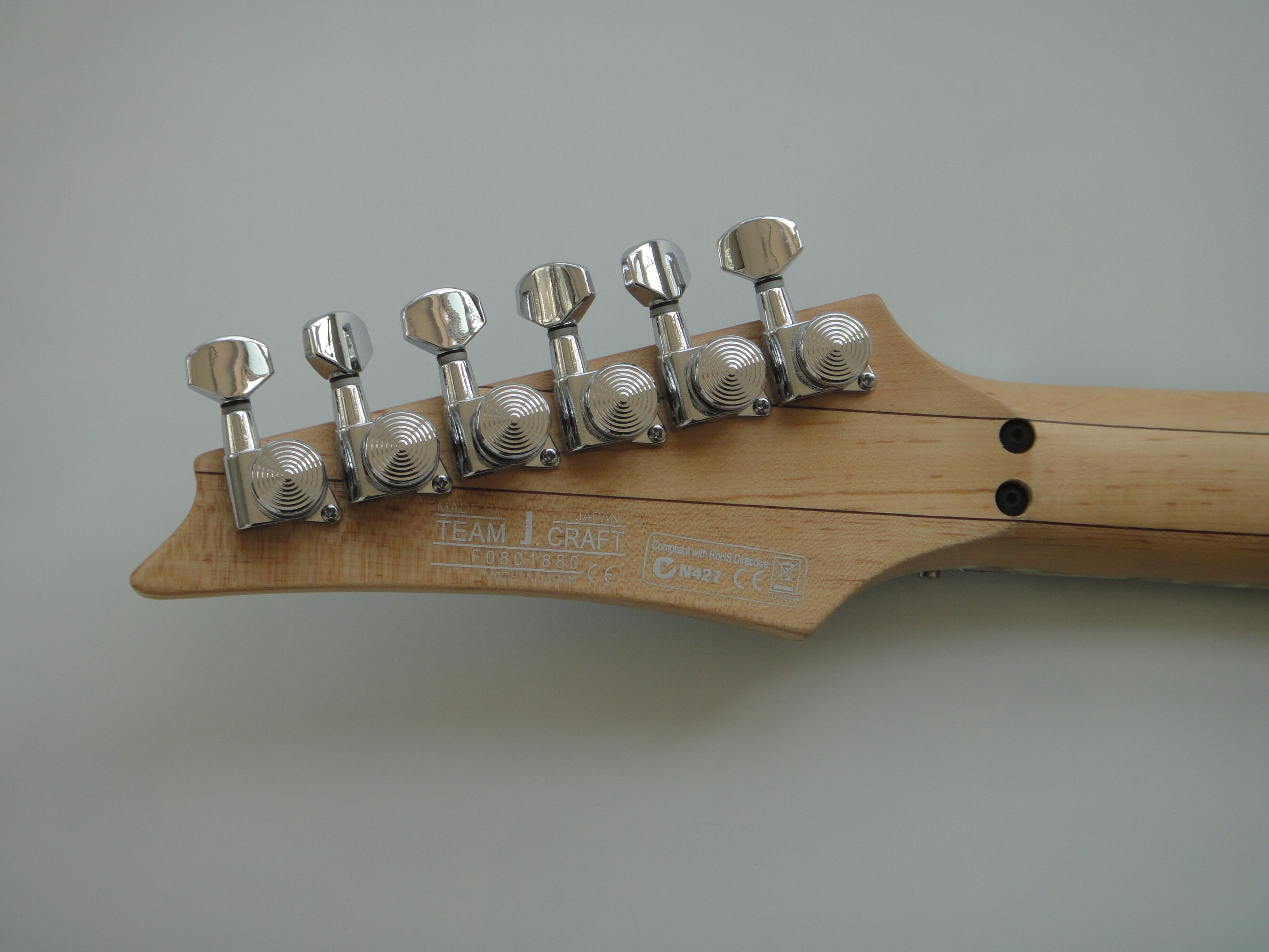 Afanti customized Basswood Body Electric Guitar