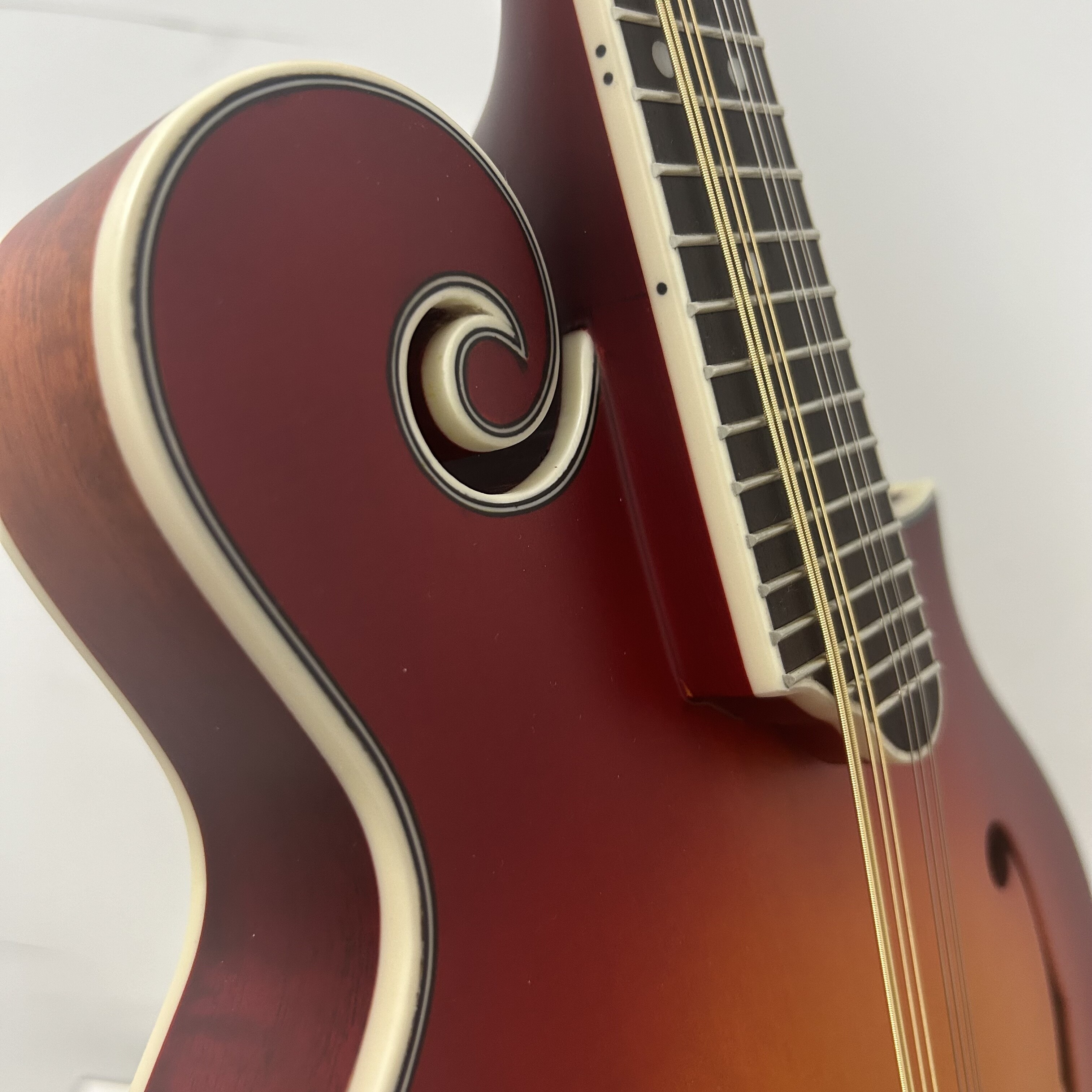 Handed Made Spruce Top Professional Maple F Mandolin