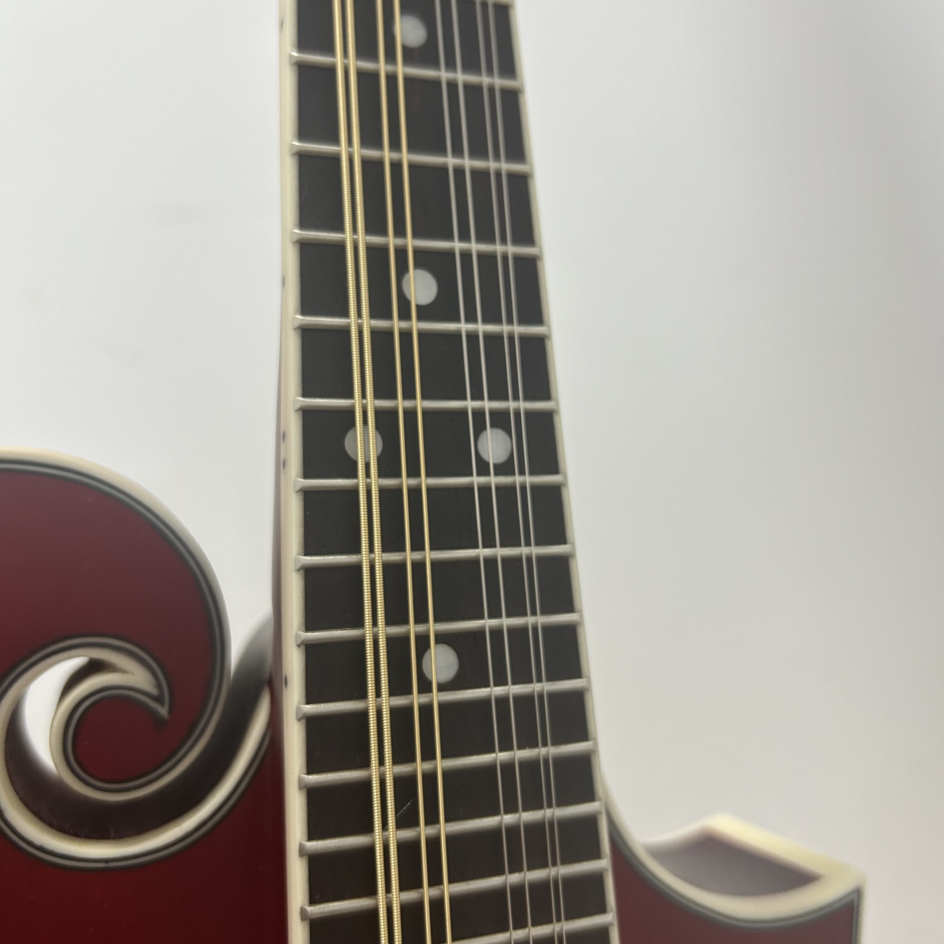 Handed Made Spruce Top Professional Maple F Mandolin