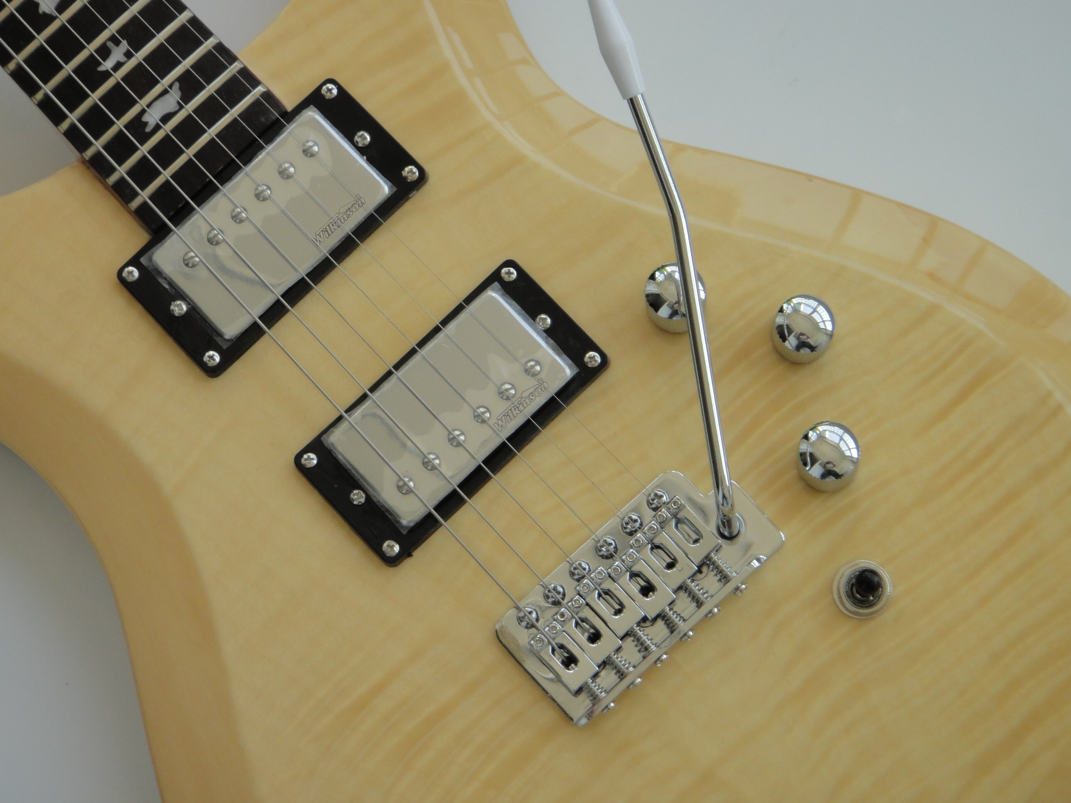 Afanti Set in Mahogany Body with Flamed Maple Veneer Electric Guitar