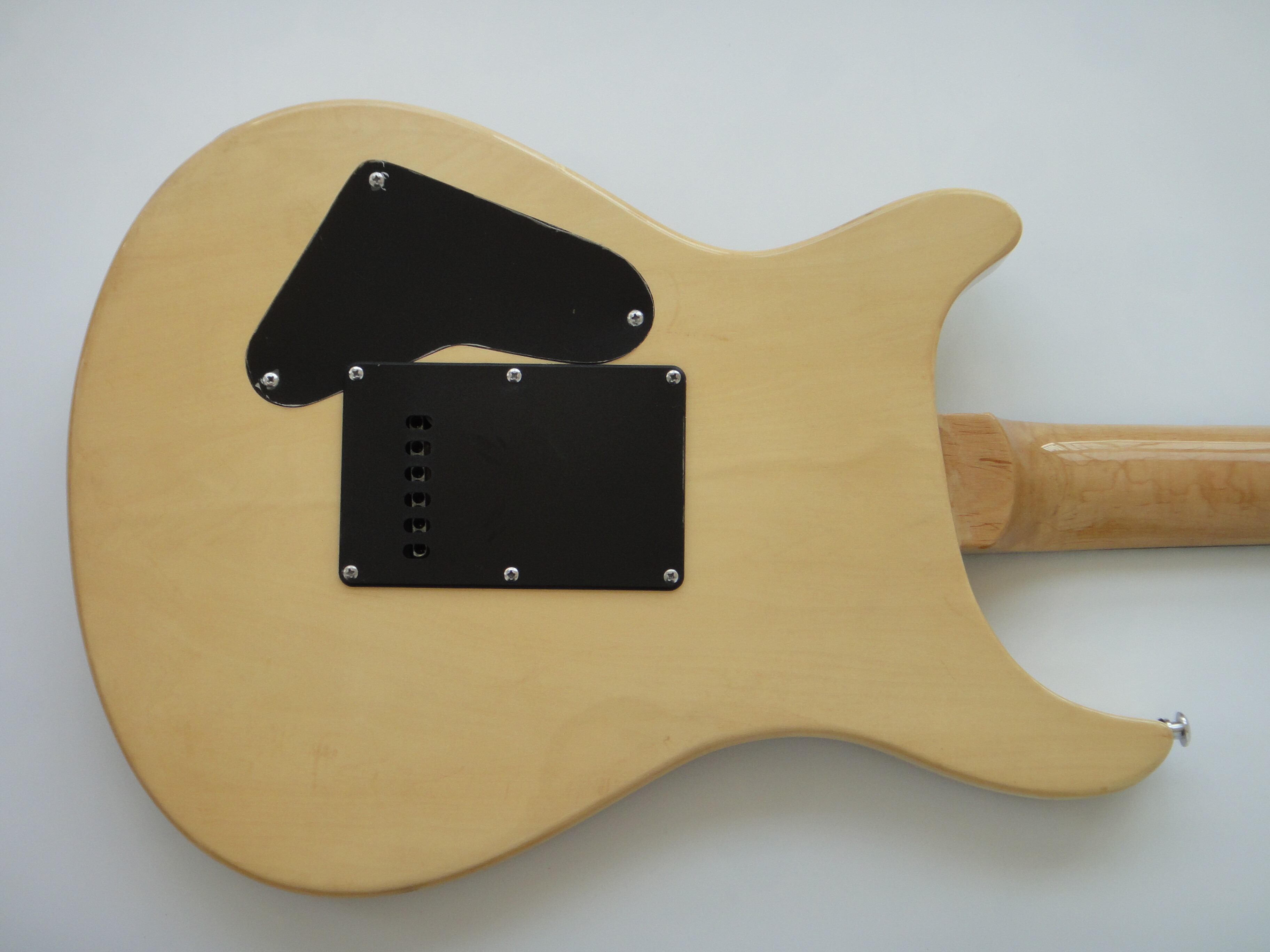 Afanti Set in Mahogany Body with Flamed Maple Veneer Electric Guitar