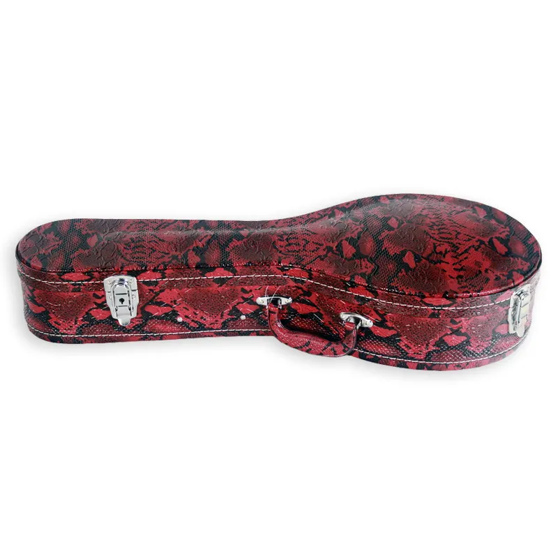 A style Mandolin hardcase