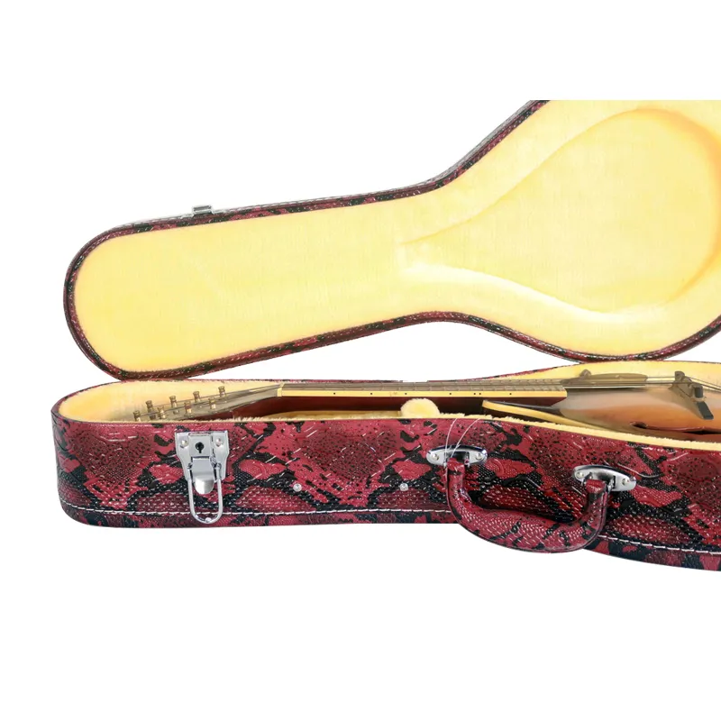 A style Mandolin hardcase