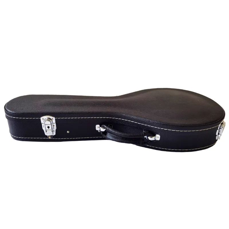 A style Mandolin hardcase