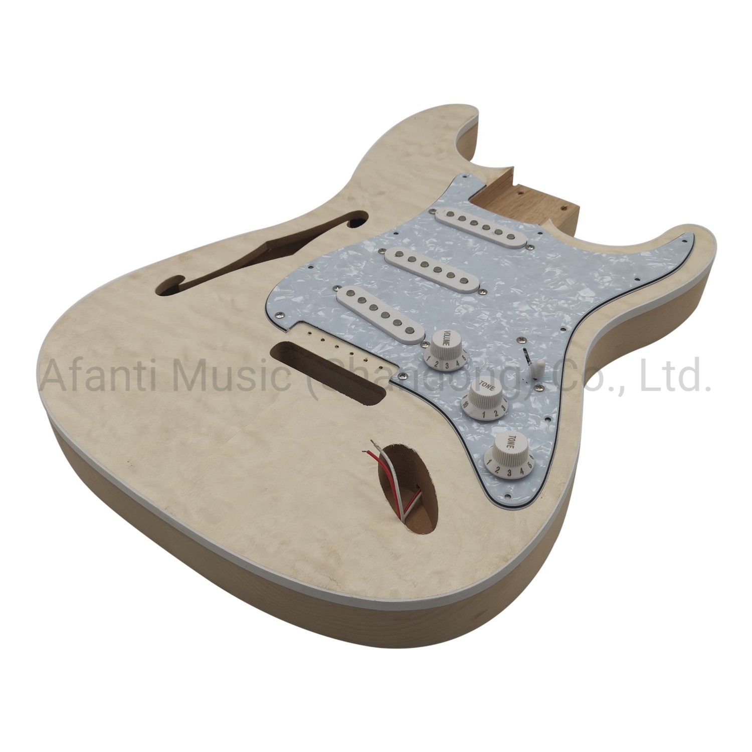 Afanti Semi-Hollow Alder Body Electric Guitar Kit