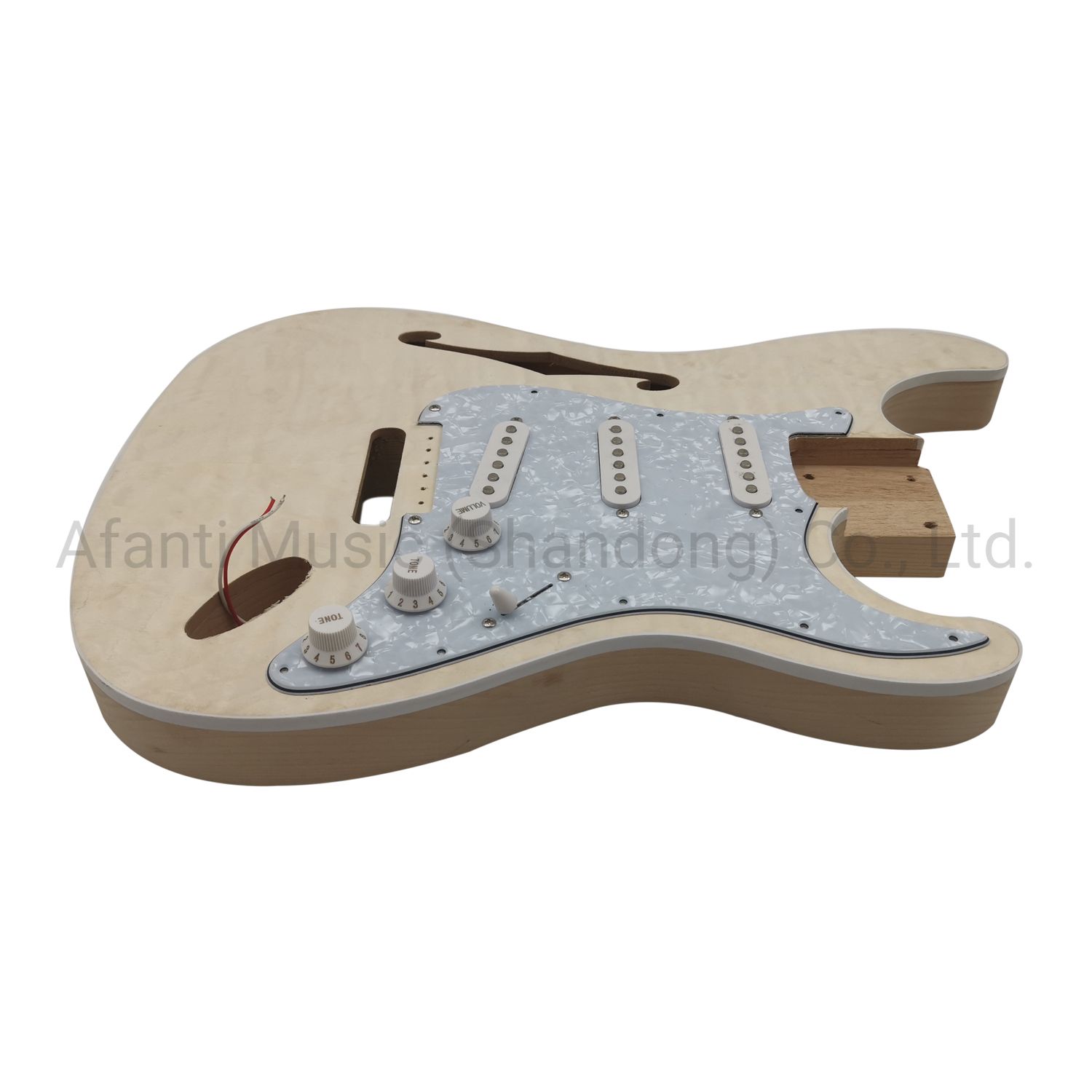 Afanti Semi-Hollow Alder Body Electric Guitar Kit
