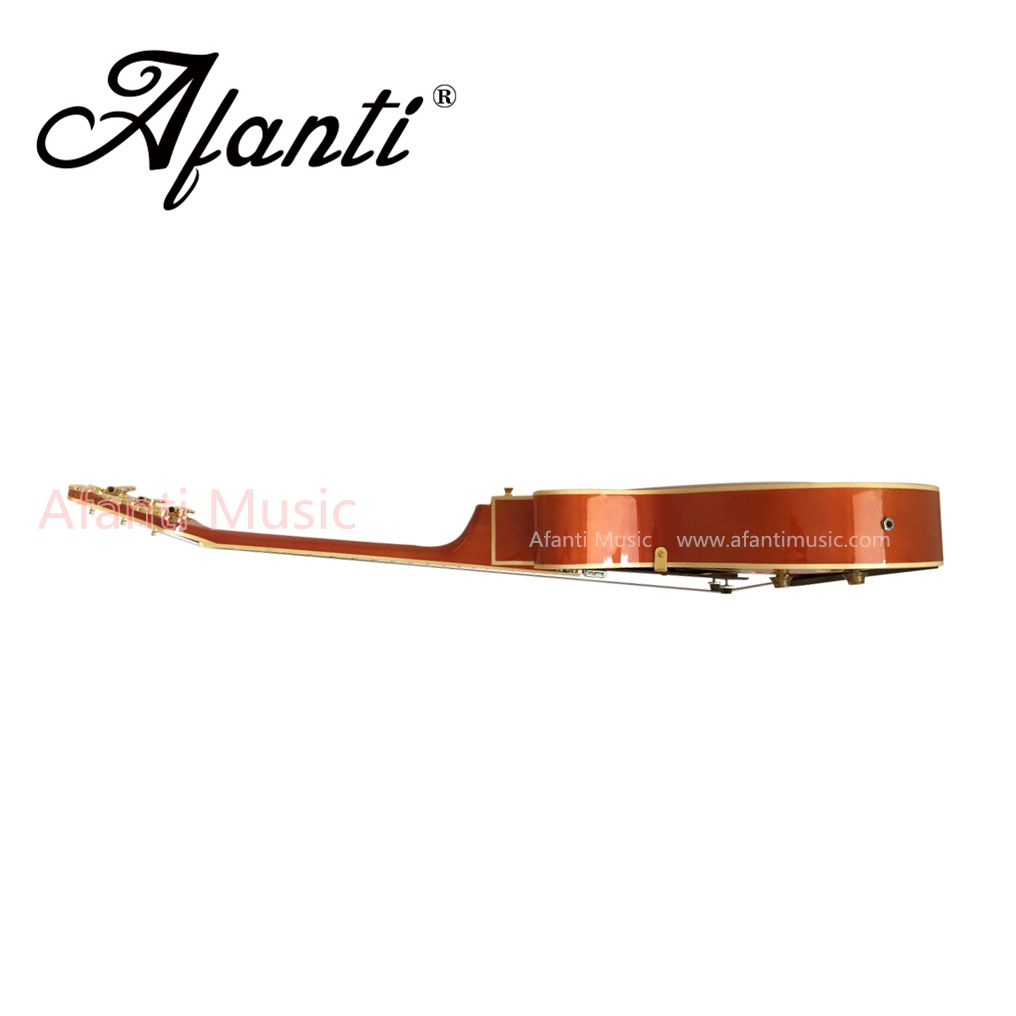 Afanti Music Guitar / L5 Hollow Body Electric Guitar