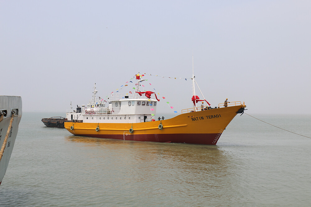 News Highlights News Highlights