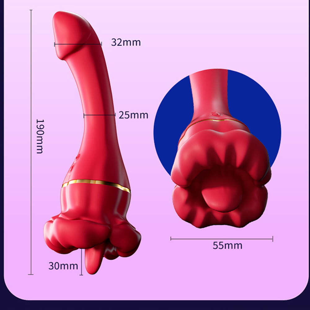 Flaming Lips Vibrator