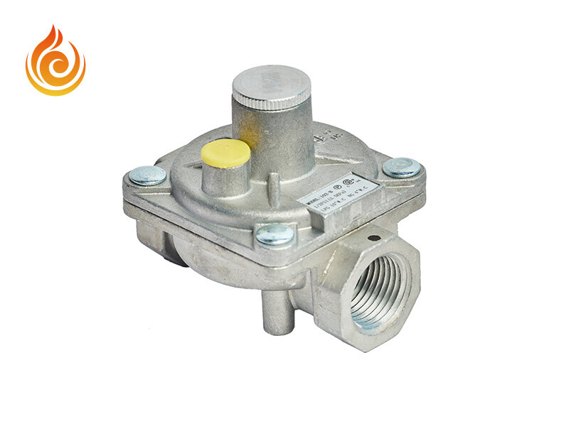 Gas Pressure Regulator 102a