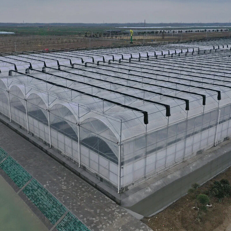 Polypropylene Plastic Film