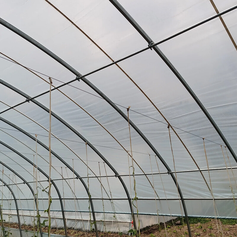 Polypropylene Plastic Film