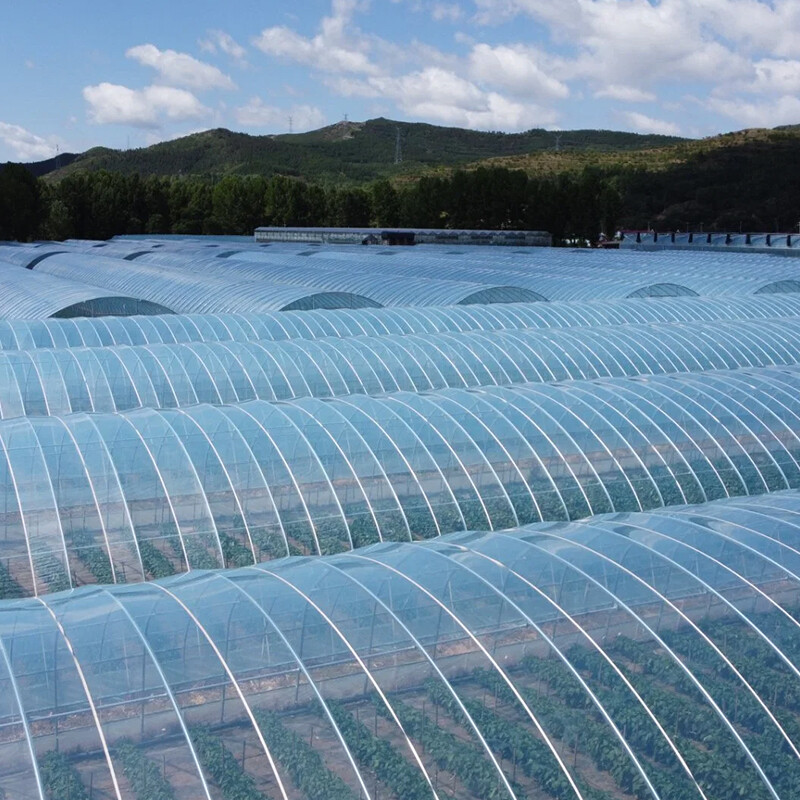 Greenhouse Plastic Film