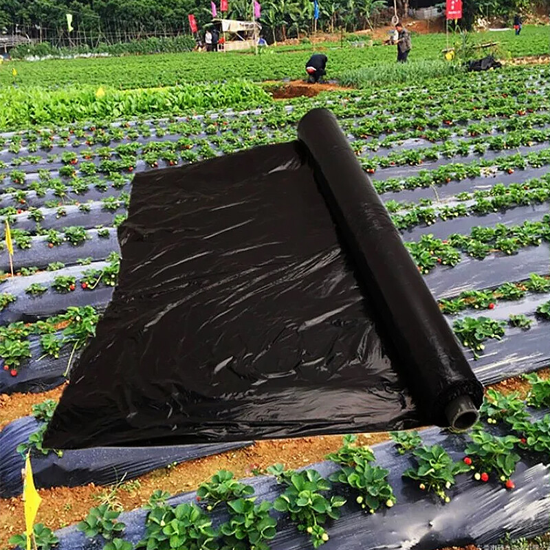 Biodegradable Mulch Film