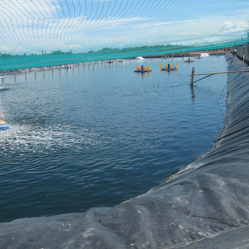 LDPE Rough Geomembrane