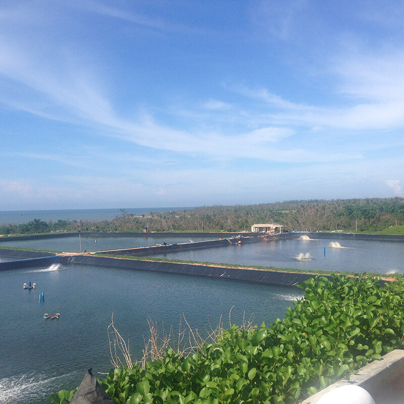 What are the benefits of HDPE Geomembrane Liners?