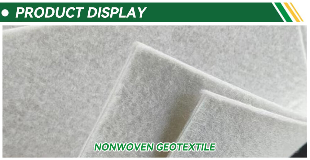 01 (1).jpg 01 (1).jpg