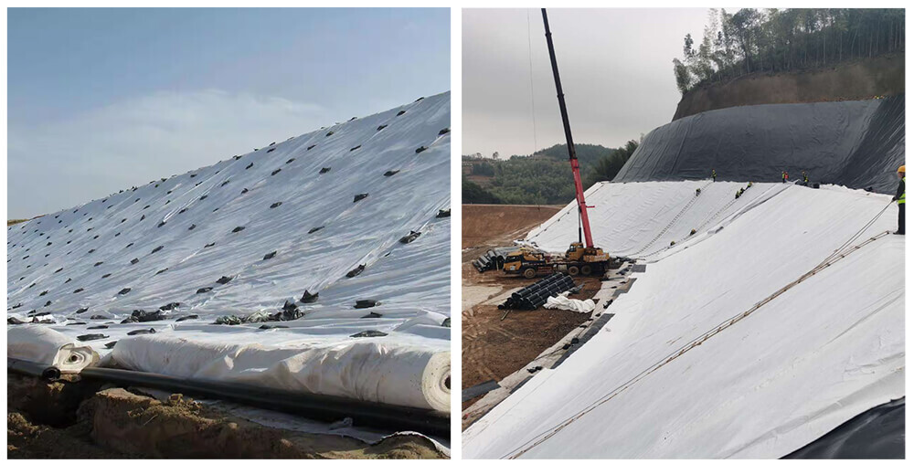 01 (7)0.jpg 01 (7)0.jpg