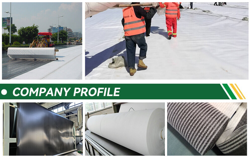 01 (8)0.jpg 01 (8)0.jpg