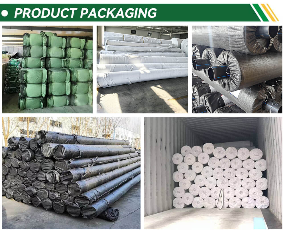 01 (12).jpg 01 (12).jpg