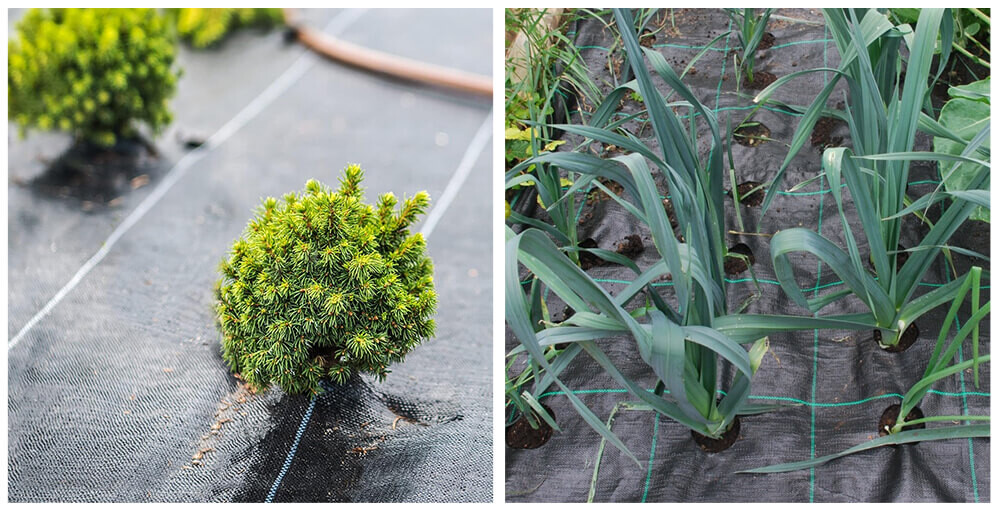 08Grass-Prevention-Net-XQ_07.jpg 08Grass-Prevention-Net-XQ_07.jpg