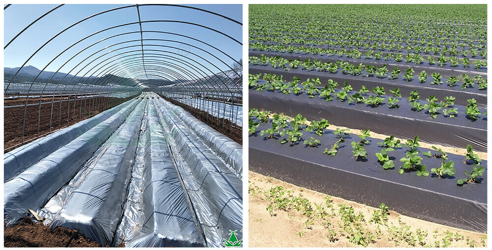 10Plastic-film-xq_07.jpg 10Plastic-film-xq_07.jpg