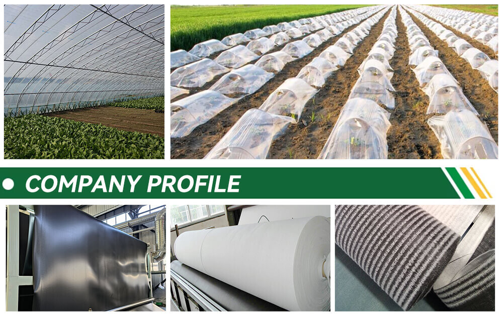 10Plastic-film-xq_08.jpg 10Plastic-film-xq_08.jpg