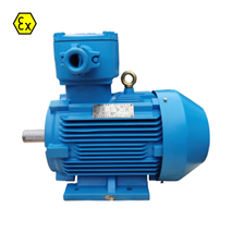 WNEX3 Explosion Prof Motor