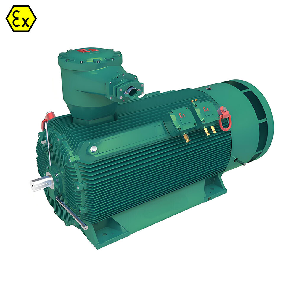 BTBYBP series High Voltage Flameproof Variable Frequency Permanent Magnet Three-phase Synchronous Motor (frame No. 355-560)