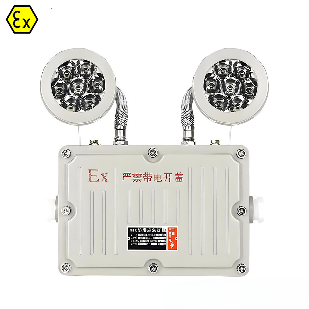 Explosion Proof Fire Sign Light